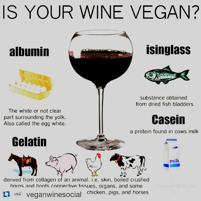 Is your wine vegan?